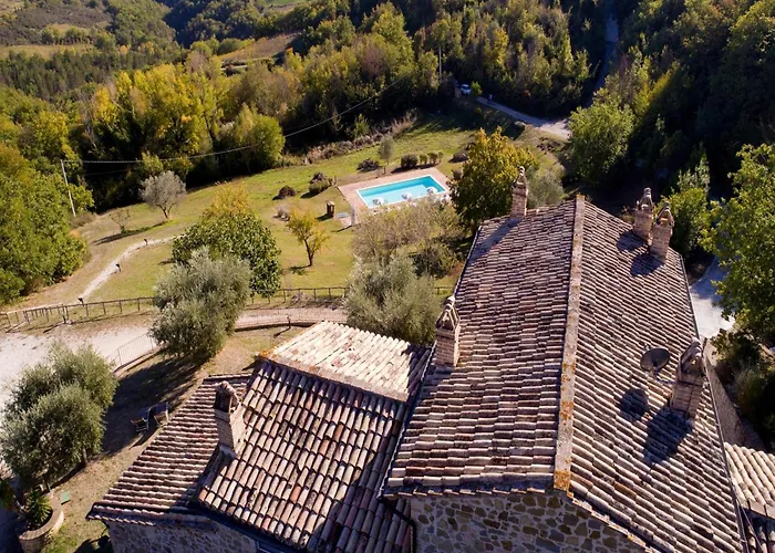 Cosy With Garden דירה אסיסי